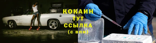 трава Абаза