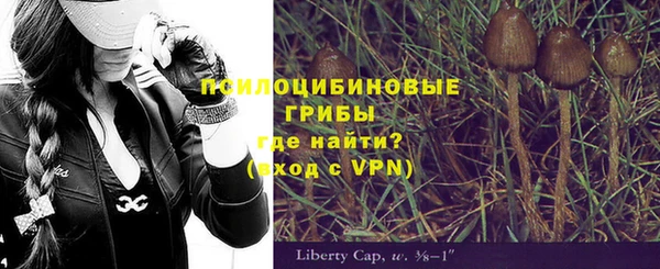 таблы Алексин