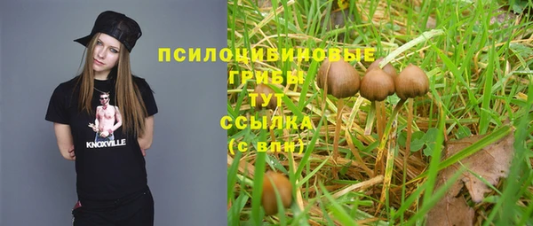 Альфа ПВП Алзамай